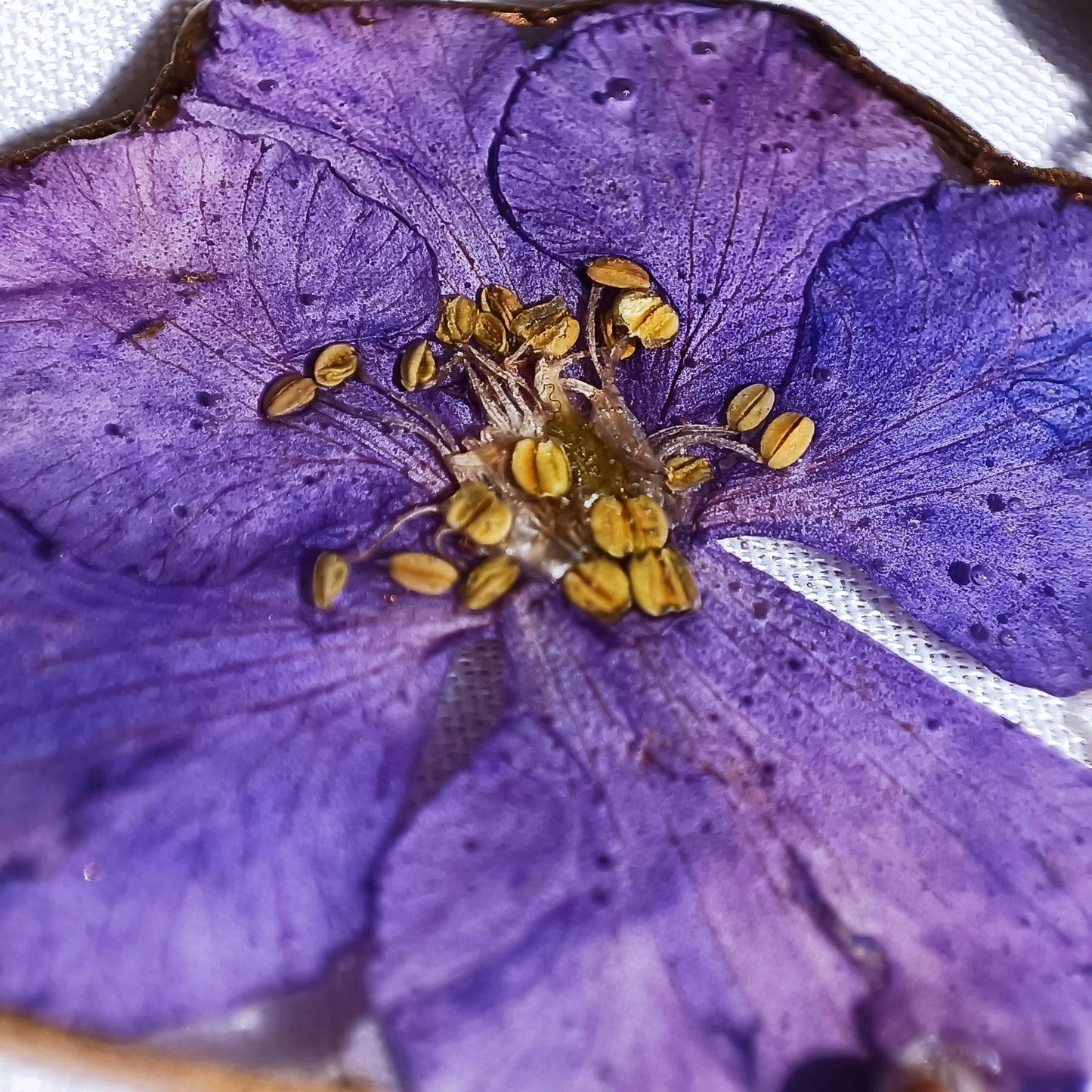 Faceted - Floral - Tumbled - Necklace Collection